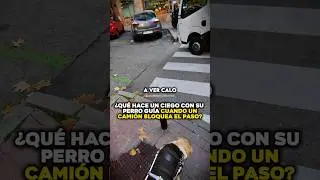What does a blind man do with his guide dog when a truck blocks the road?