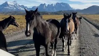 Neue Mietwagen-Rundreise in Patagonien