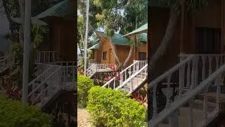 Divine Lake Island villa | Rangamati            #divine #kaptai