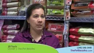 Organic and natural pet treats