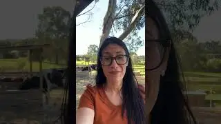 Farm Transitions Australia - Voiceless Testimonial