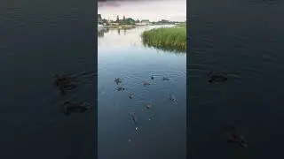отдых на природе