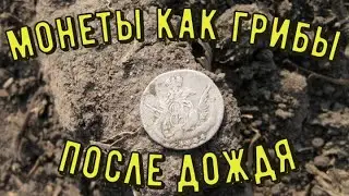 копаю монеты и металл в дождь. коп на поле в непогоду. коп.