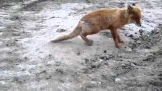 Едим вместе торт