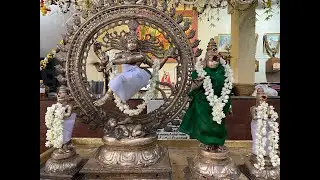 Aani Thirumanjanam- Natarajar Abishekam 25-06-2023