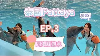 【泰國】EP.3| 芭提雅🚞|聖誕節| Pattaya Dolphin World | 2023 | 9 DAY | TRAVEL VLOG