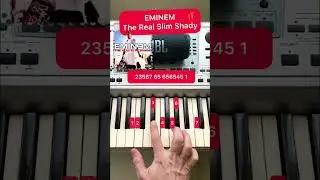 Eminem - The Real Slim Shady (piano tutorial🎹) 