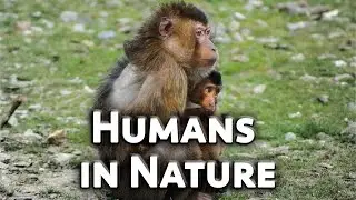 HOW TO INTEGRATE NATURE AND HUMANKIND - CROCODILES AND PEOPLE