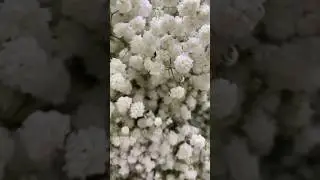 Ты меня на это не возьмешь