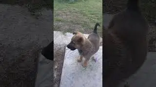 Да ну вас
