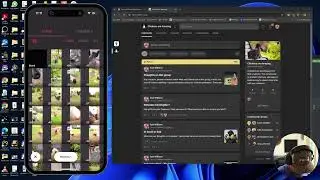 Create Chicken Instagram Reel with Inshot - Quick Tutorial