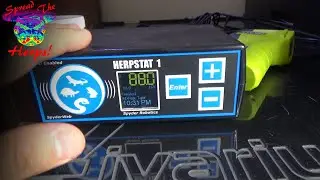 Herpstat Spiderweb Review
