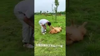 #Short