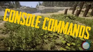 Sons of the Forest: A quick guide to console commands.