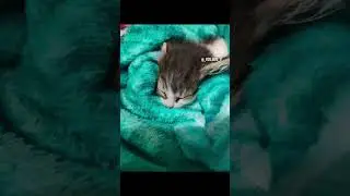 это ещё не всё) 