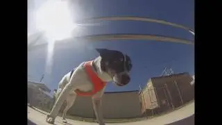 Yass skatepark edit / with the locals
