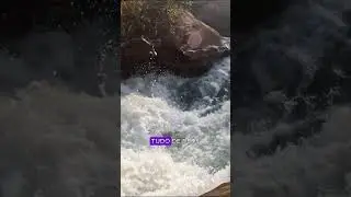 Motivacional