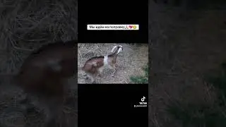 мы идём на поправку 🙏💖😊