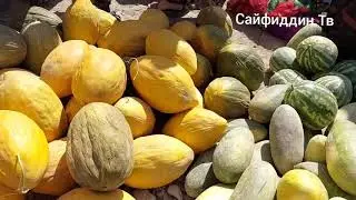 Кавун Тарбуз ва Бошка Нарсалар Жигарлар