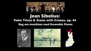 BAG OM MUSIKKEN: Sibelius' 'Valse Triste' og 'Scene With Cranes'