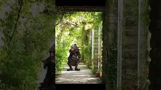 Monster in Garden  #blender#cgi#3danimation#cgi#vfx #visualeffects
