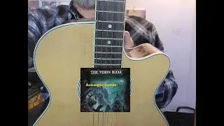 Who May Oppose Me? The Vision Bleak ACOUSTIC Cover, fingerstyle!!
