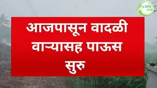 IMD rain alert आज पासून राज्यात विजांच्या कडकडासह पावसाचा इशारा वादळी वाऱ्यासह big breaking news