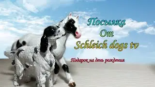 Посылка от Schleich dogs tv распаковка
