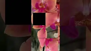 Я по частицам собираю твой портрет 