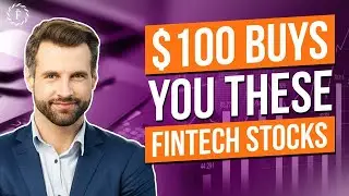 $100 Buys You These Fintech Stocks