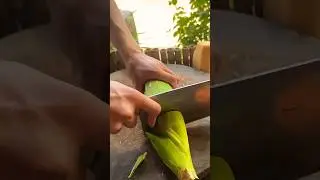 #saiyaara