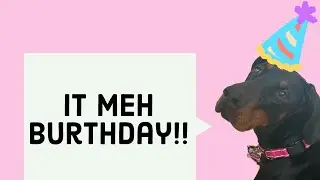 Happy birthday Storm!!!