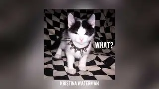 what? | by kristina waterman (official visualiser)