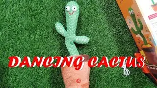 This Talking Cactus is SO CUTE!