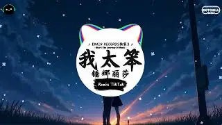 我太笨 (抖音DJ版) - 锤娜丽莎『是不是我太笨 給不了你最渴望的安穩，才讓你忐忑才想去越格。』♪ || 抖音最热门的背景音乐 | 抖音 Douyin | TikTok ♪