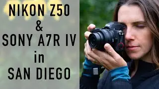 Samples! Wide angle, low light, Telephoto, San Diego. Nikon Z50 and Sony a7R IV. Review prep.