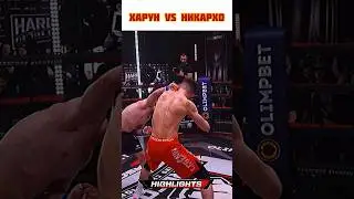 Харун vs Никархо 🤔 Что скажете? | #popmma #нашедело #хайп #хардкор #мма #mma