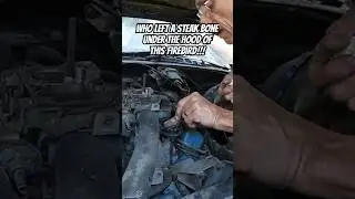 Firebird rescue/revival #mechanic #restoration #pontiac