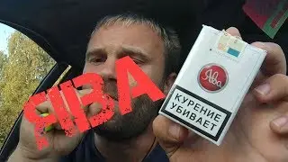 Обзор на ЯВА классическая (мягкая пачка)