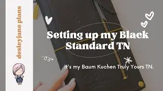 Setting Up my Standard TN as my Everyday (sort of).