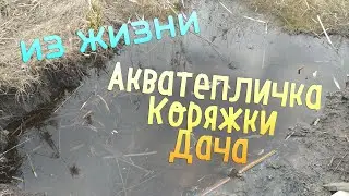 Из жизни:Аква-тепличка,коряжки,дача.