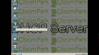 DHCP Kurulum ve Konfigurasyonu