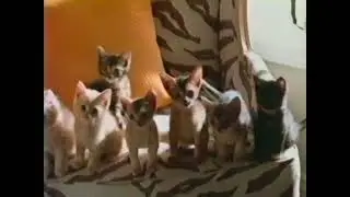 Remax commercial #2 from 2002