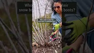 I know all gardeners out there in the cold zones are READY! Let's do this!  
