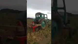 Скоба для выкопки чеснока.🧄 #farming  #чеснок