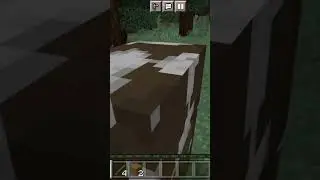 про по майнкрафт дрим 