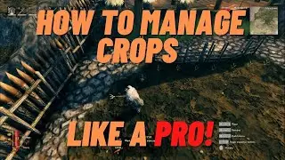 Valheim - How to make crops MULTIPLY!