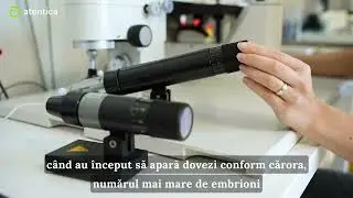 FIV vs ICSI: Avantaje, riscuri și decizii informate in Fertilizarea in Vitro