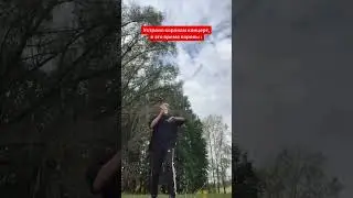 Эта Корова - новый МЕМ 😂