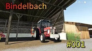 [GER] LS19 Bindelbach #001 Die Kühe Kommen!!